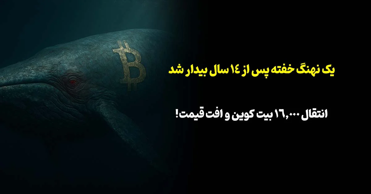 یک نهنگ خفته پس از ۱۴ سال بیدار شد؛ انتقال ۱۶,۰۰۰ بیت کوین و افت قیمت!